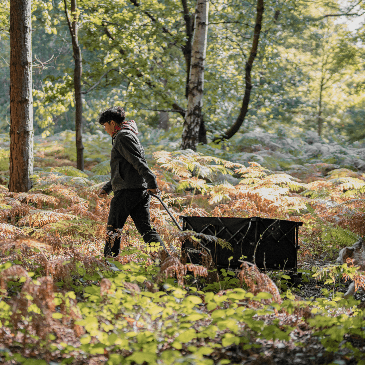 Top Tips for Using Your Folding Trolley - MoverX