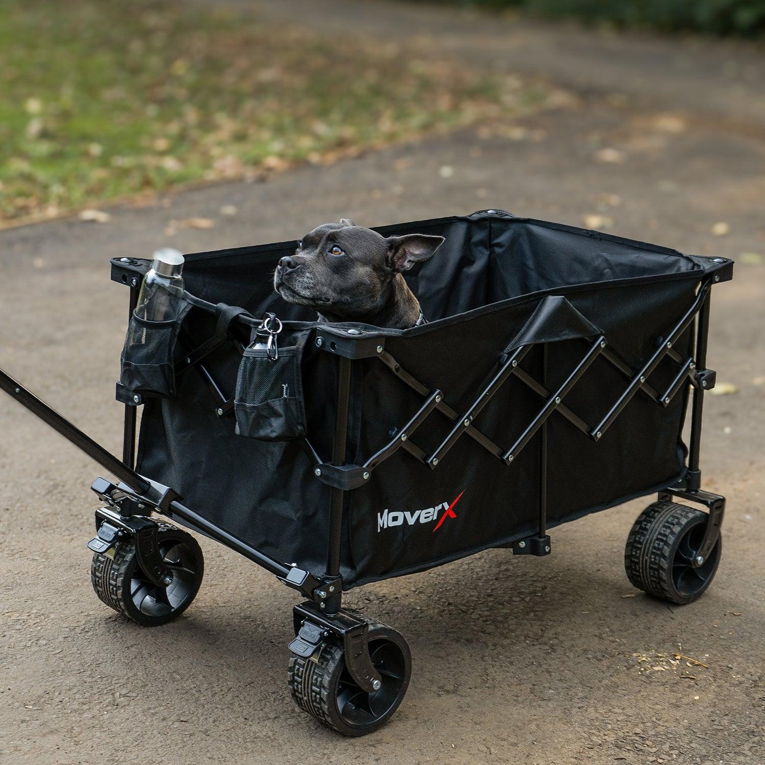 Pet Comfort on the Go: Why a Wagon is a Must-Have for Dog Owners - MoverX